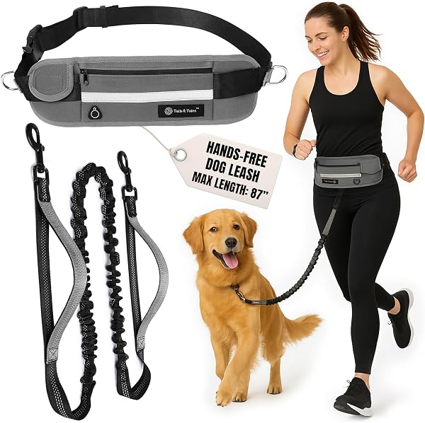 Trela Mãos-Livres de Corrida e Caminhada com Cinto Acolchoado e Amortecedor Bungee Refletor para Cães